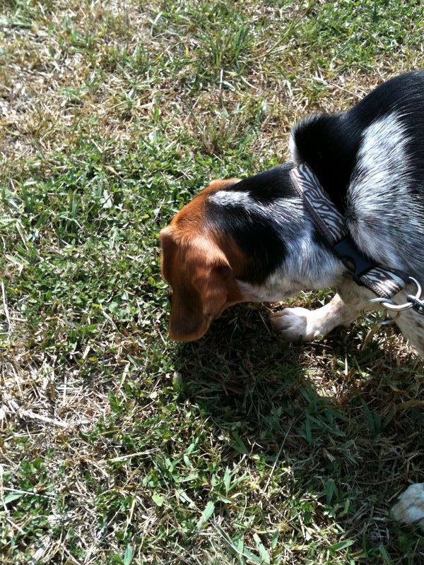 zoey2011-283.JPG