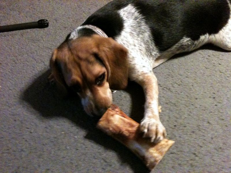 zoey2011-289.JPG