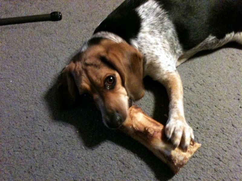 zoey2011-291.JPG