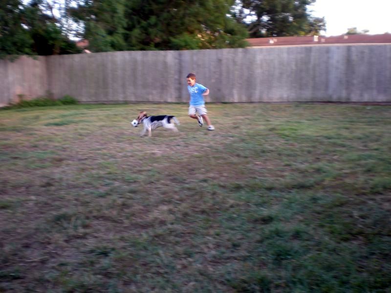 zoey2011-292.JPG