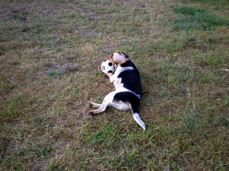 zoey2011-296.JPG