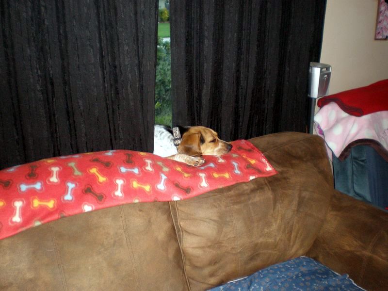 zoey2011-320.JPG