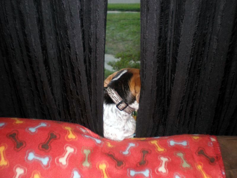 zoey2011-322.JPG
