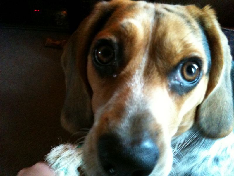zoey2011-323.JPG