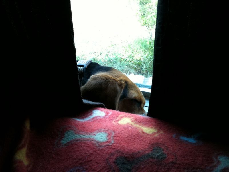 zoey2011-333.JPG
