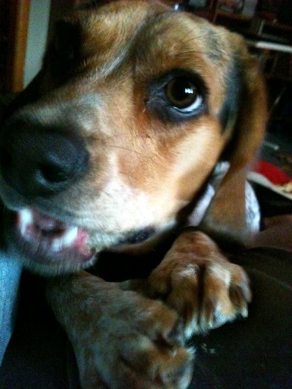zoey2011-337.JPG