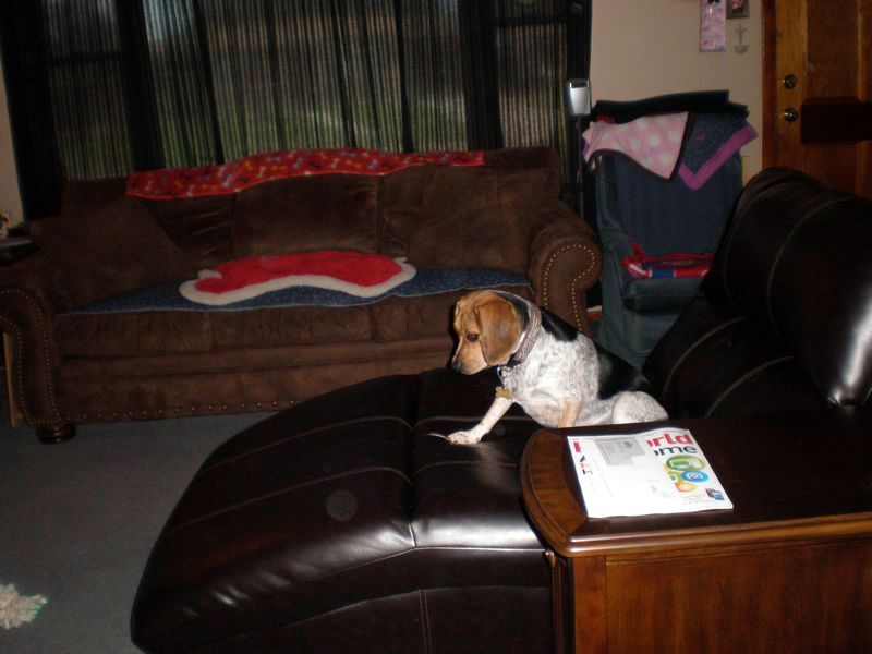 zoey2011-339.JPG