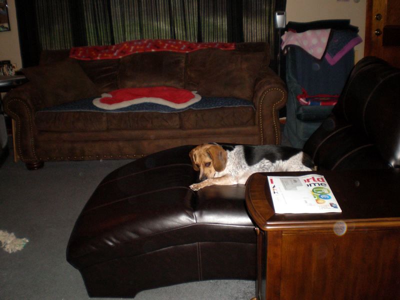 zoey2011-340.JPG