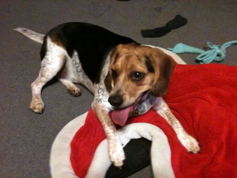 zoey2011-342.JPG