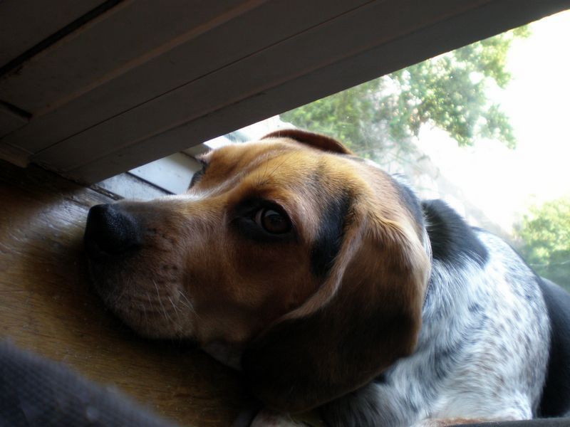 zoey2011-374.JPG