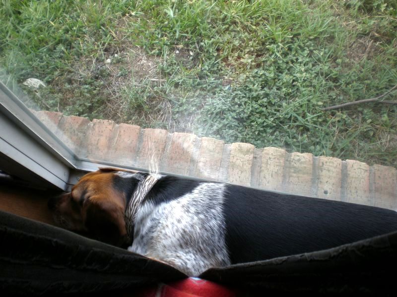 zoey2011-379.JPG