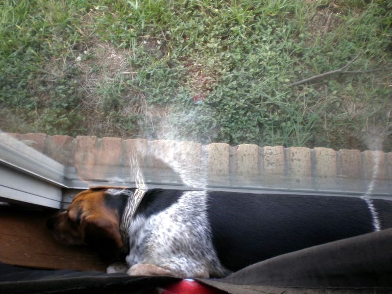 zoey2011-381.JPG