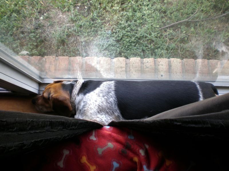 zoey2011-382.JPG