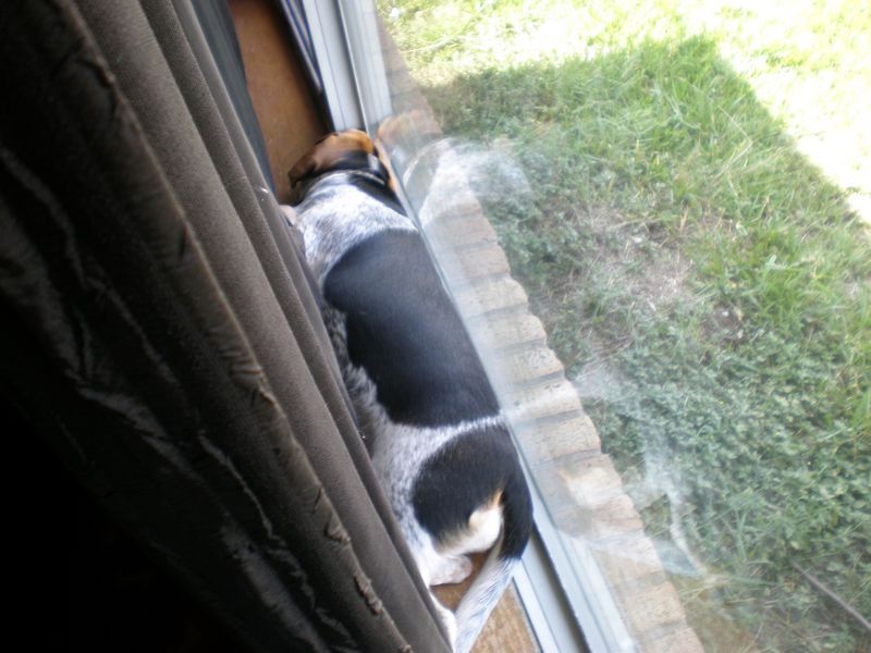 zoey2011-384.JPG