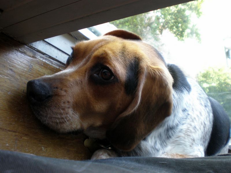 zoey2011-385.JPG