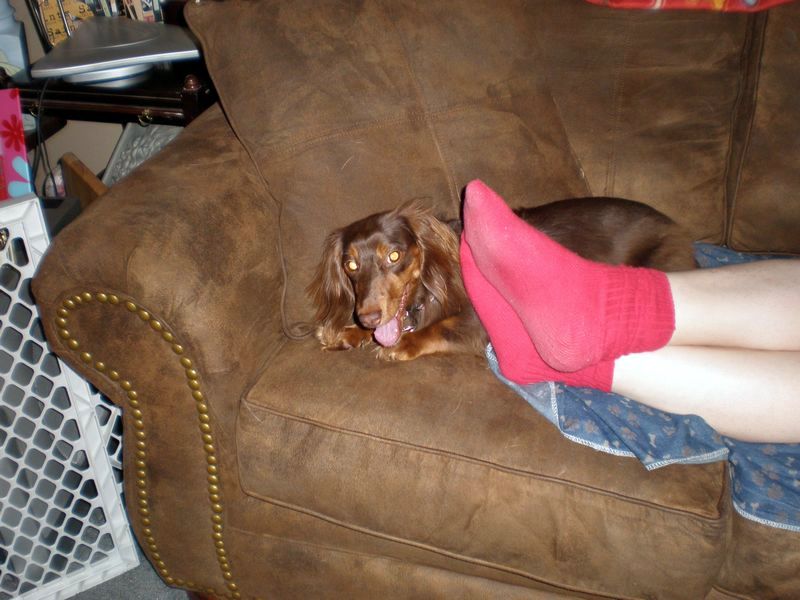 zoey2011-391.JPG