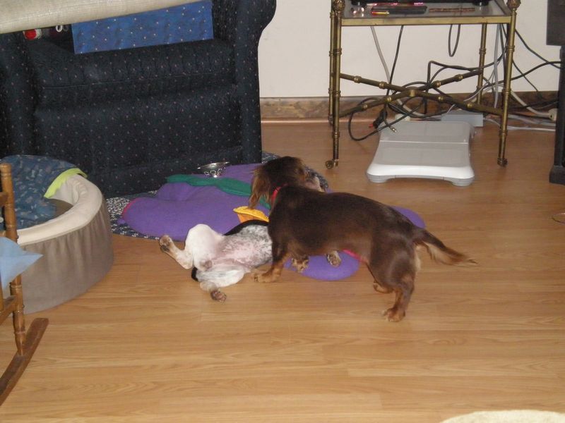 PA310035.JPG