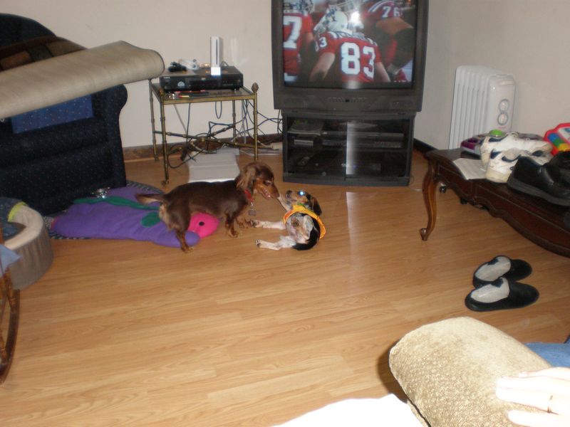 PA310038.JPG