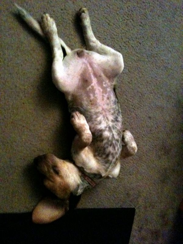 Zoey-027.JPG