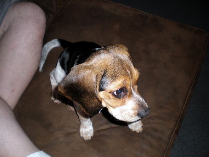 Zoey-032.JPG