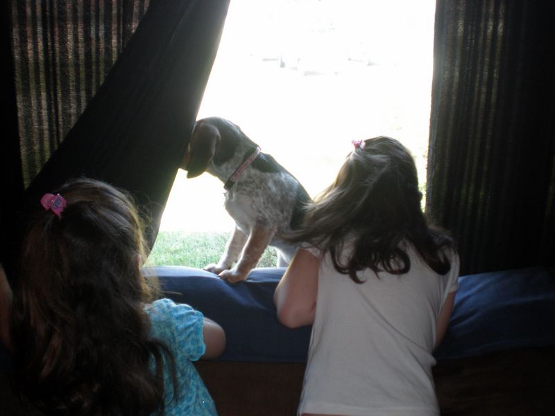 Zoey-046.JPG
