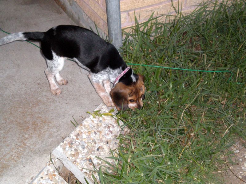 Zoey-050.JPG