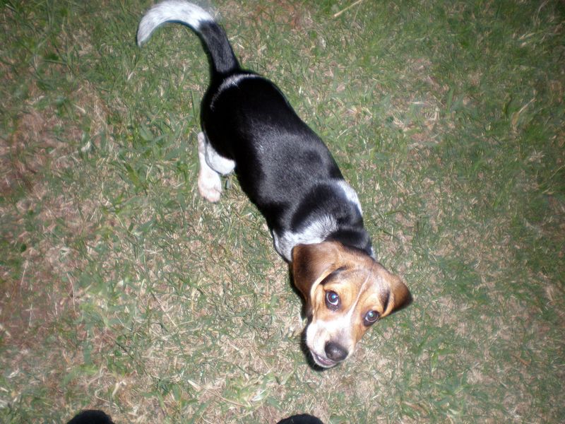 Zoey-051.JPG