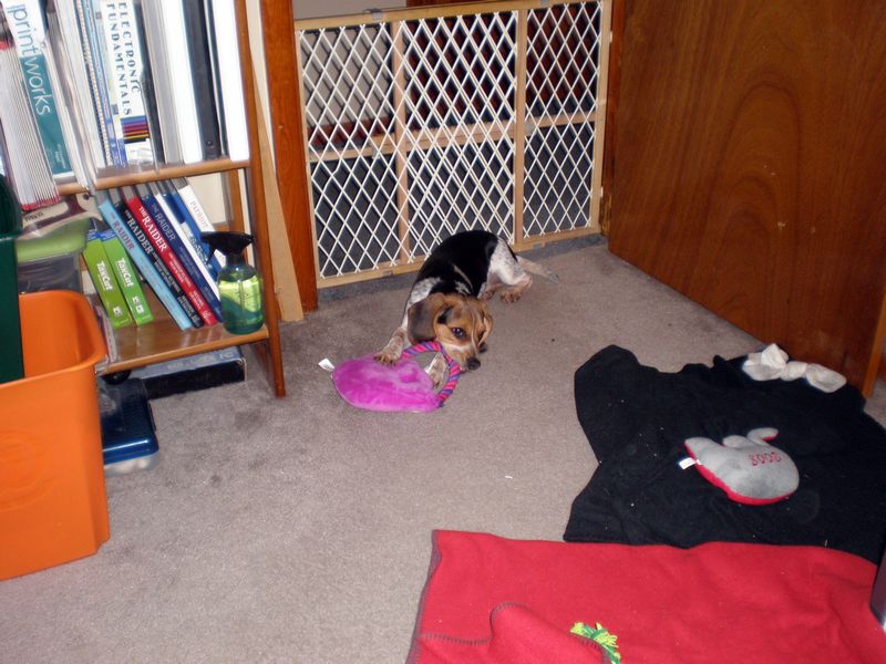 Zoey-066.JPG