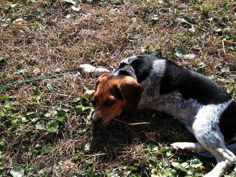 Zoey-070.JPG
