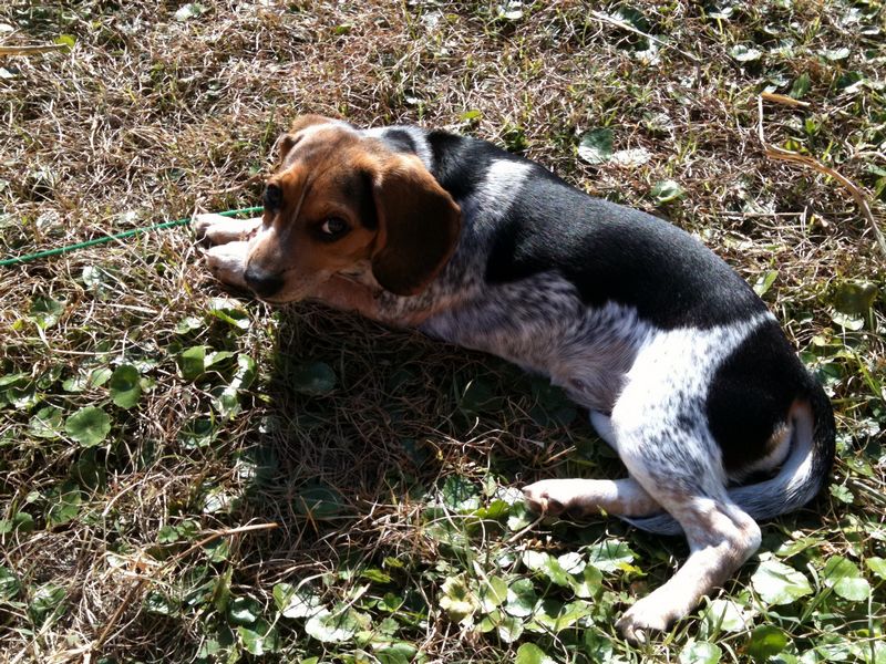 Zoey-071.JPG