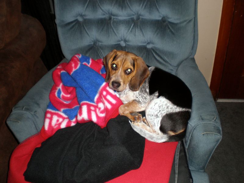 Zoey-082.JPG