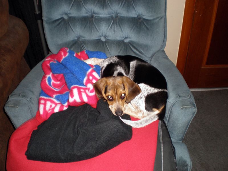 Zoey-083.JPG