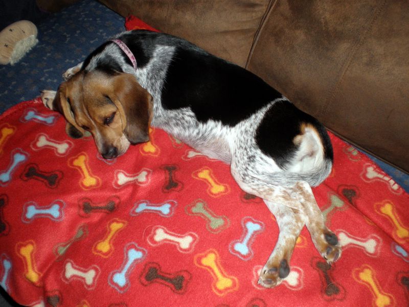 Zoey-085.JPG