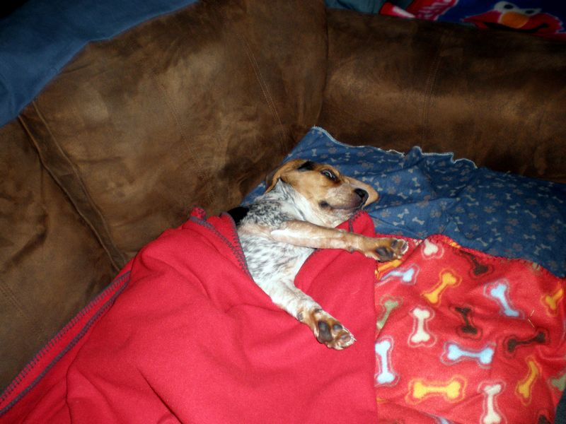 Zoey-088.JPG