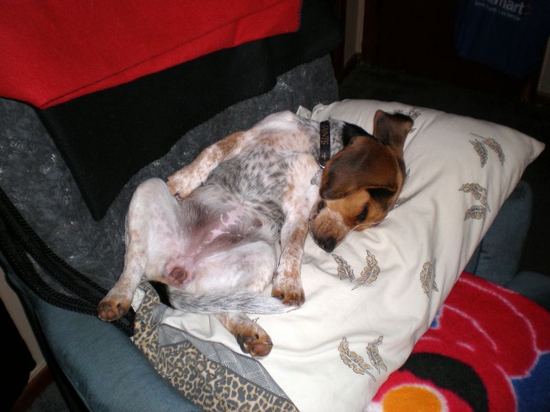 Zoey-098.JPG