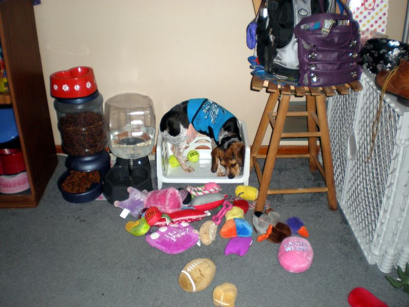 Zoey-104.JPG
