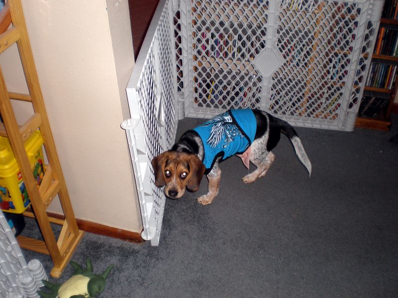 Zoey-107.JPG