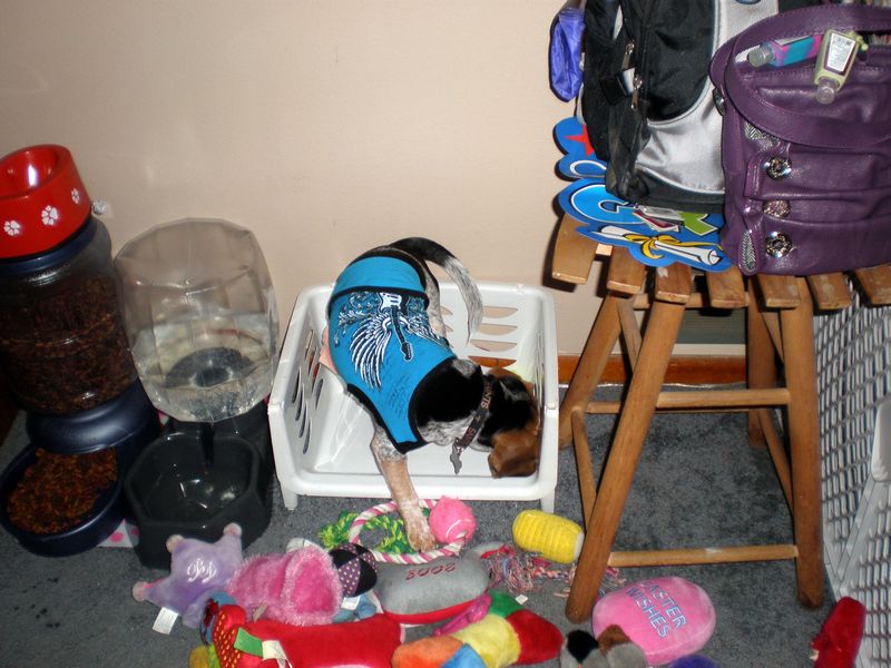 Zoey-108.JPG