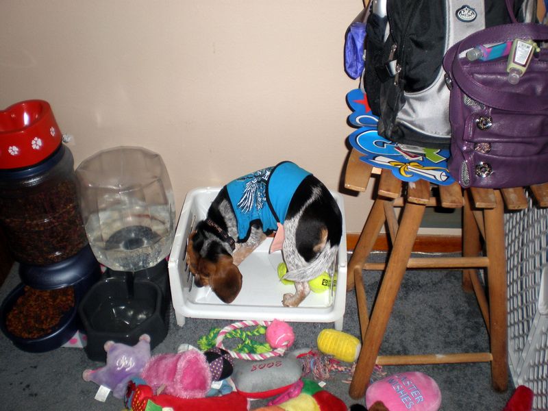 Zoey-109.JPG
