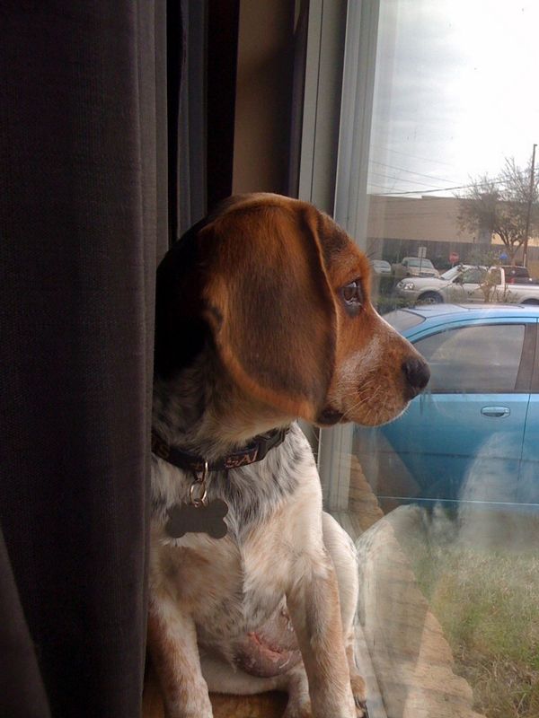 Zoey-126.JPG