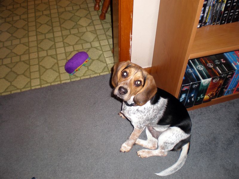 Zoey-130.JPG