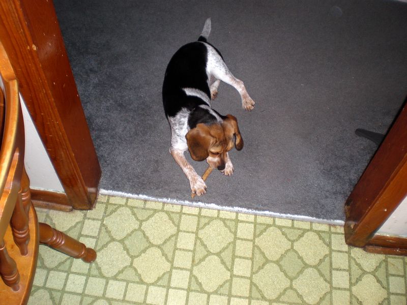 Zoey-139.JPG