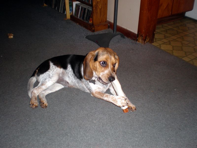 Zoey-143.JPG