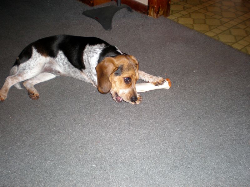 Zoey-147.JPG