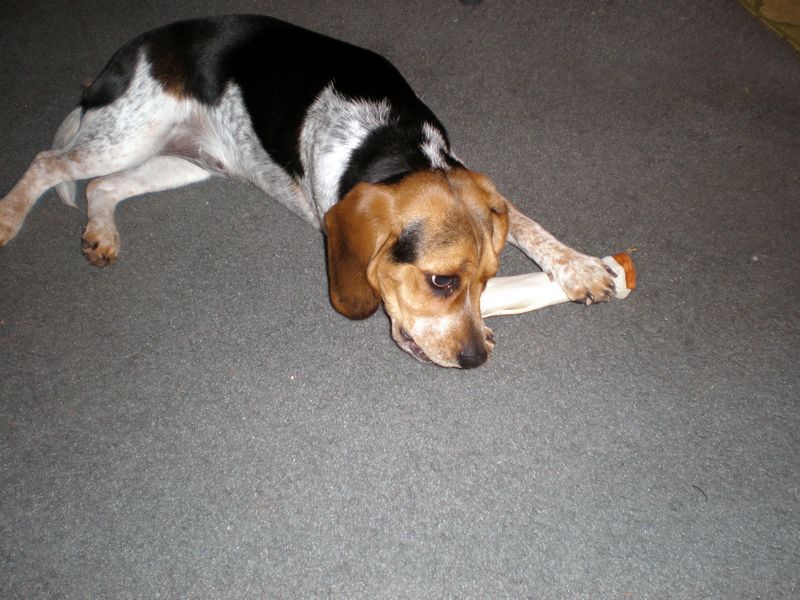 Zoey-148.JPG