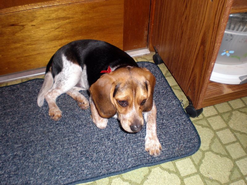 Zoey-181.JPG