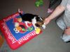 Zoey-024.JPG