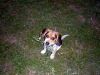 Zoey-056.JPG