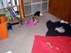 Zoey-065.JPG