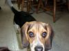 Zoey-081.JPG